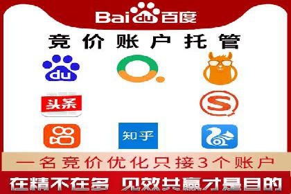 SEM优化师成功案例：助力企业实现品牌升级